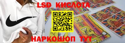 прущие грибы Будённовск