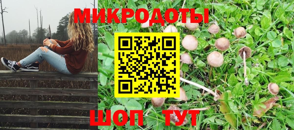 Галлюциногенные грибы GOLDEN TEACHER  Вход с VPN  Минеральные Воды  Галлюциногенные грибы Cubensis 